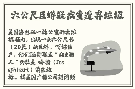 国产麻豆精品一区二区三区